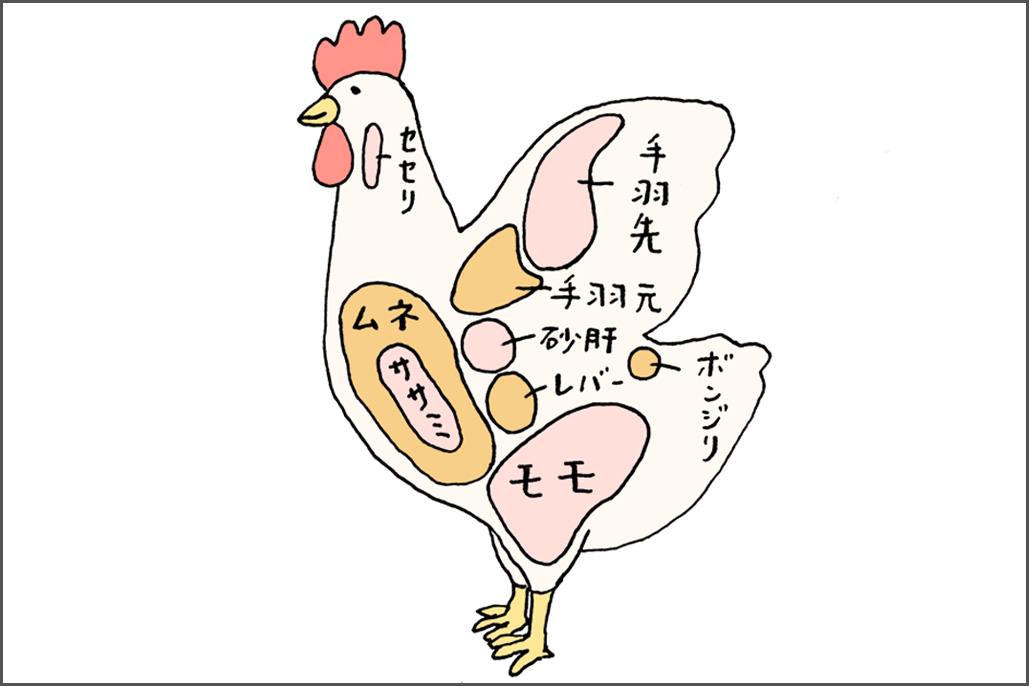 栄養は 部位の違いは何 鶏肉の基本を知りましょう Sateto さてと