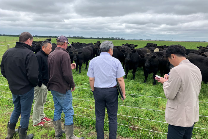 グラスフェッドビーフとは？おいしいステーキの焼き方のコツも！_画像02