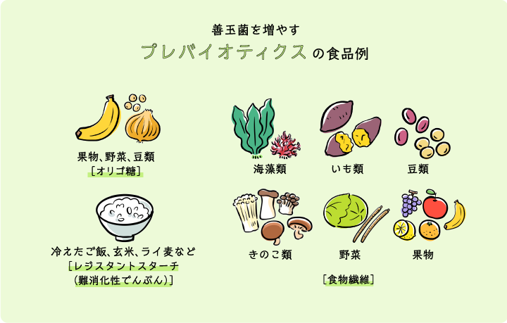 善玉菌を増やす プレバイオティクスの食品例