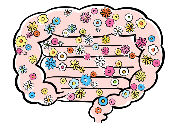 腸活イラスト_02