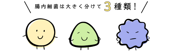 腸内細菌は大きく分けて3種類！