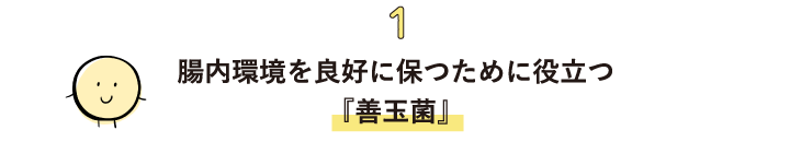 1_腸内環境を良好に保つために役立つ『善玉菌』