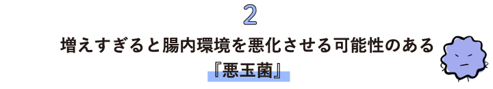 2_増えすぎると腸内環境を悪化させる可能性のある『悪玉菌』