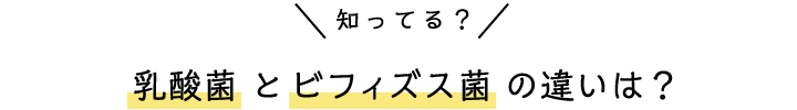 知ってる？乳酸菌 とビフィズス菌 の違いは？