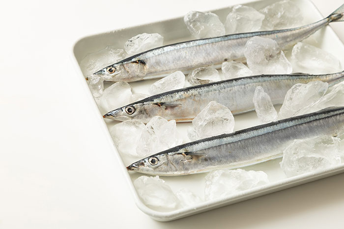 さんまの選び方から下処理のコツ_画像02