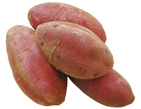 シルクスイート_画像