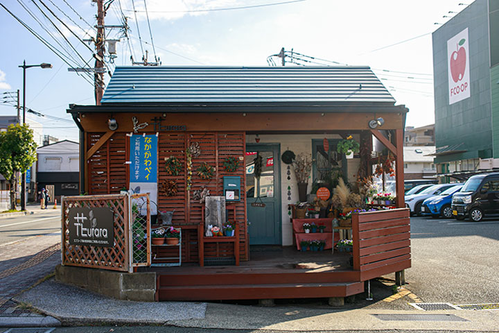 【SATETOインスタライブ】初めてでも簡単！プロに教わる「寄せ植え」ライブ_画像