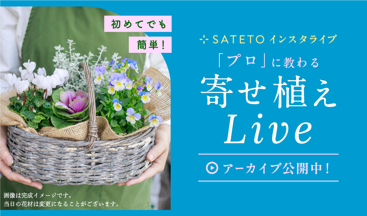 SATETOインスタライブ】初めてでも簡単！プロに教わる「寄せ植え