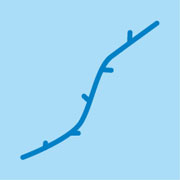 コープ「電子レンジにも強いラップ」の秘密と、親子で簡単レンジ料理♪;