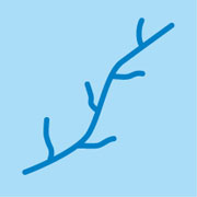 コープ「電子レンジにも強いラップ」の秘密と、親子で簡単レンジ料理♪;