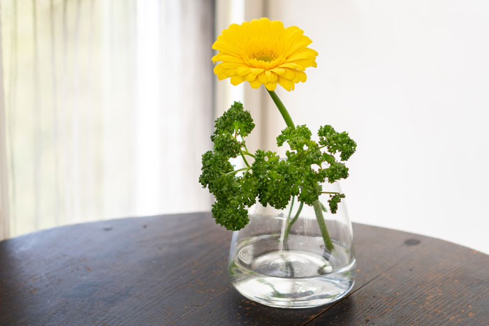 【初心者向け】花屋さん直伝！「花束の飾り方と長持ちさせるコツ」_画像02