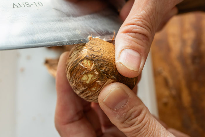 [ 栗のきほん ] おいしい栗の選び方から栗仕事のコツ、保存法、栗レシピまで_画像04