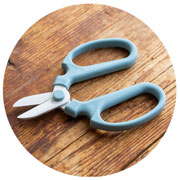 【初心者向け】花屋さん直伝！「花束の飾り方と長持ちさせるコツ」_はさみの画像