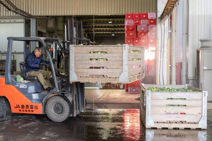 鮮度を保つ「冷却」の技がすごい！JA島原雲仙のブロッコリー産地訪問_画像02