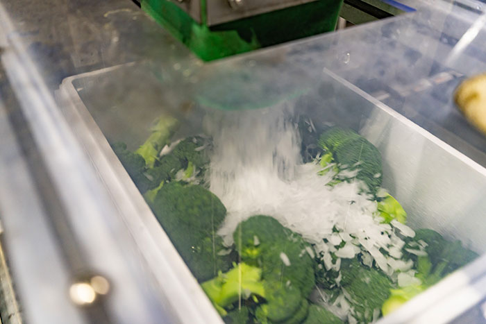 鮮度を保つ「冷却」の技がすごい！JA島原雲仙のブロッコリー産地訪問_画像02