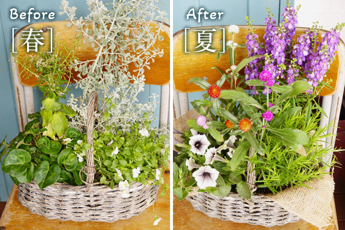 寄せ植え、その後どうする？編集部がお花のプロに駆け込み相談！_画像01