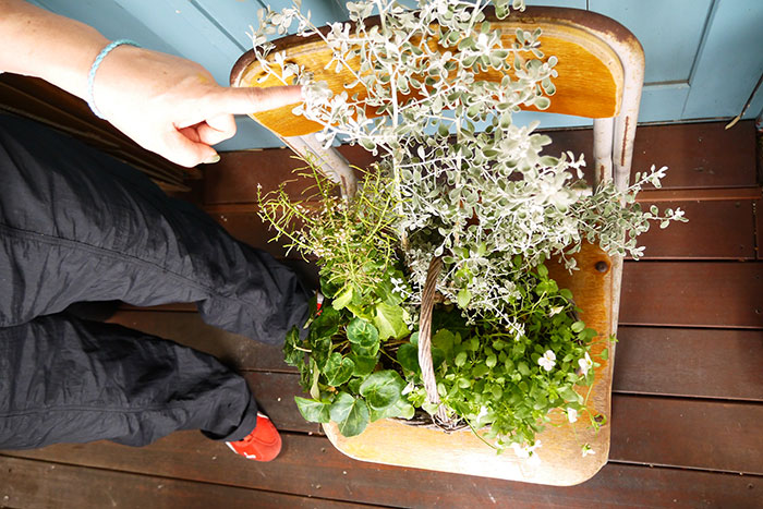 寄せ植え、その後どうする？編集部がお花のプロに駆け込み相談！_画像01