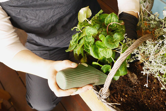 寄せ植え、その後どうする？編集部がお花のプロに駆け込み相談！_画像01