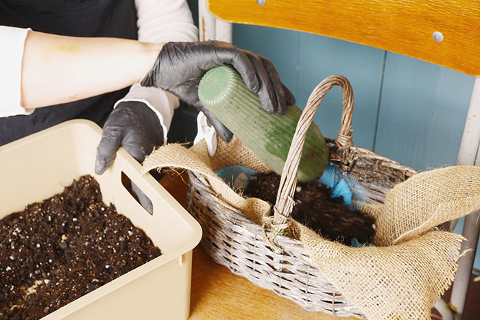 寄せ植え、その後どうする？編集部がお花のプロに駆け込み相談！_画像01