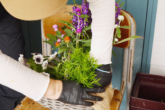 寄せ植え、その後どうする？編集部がお花のプロに駆け込み相談！_画像01