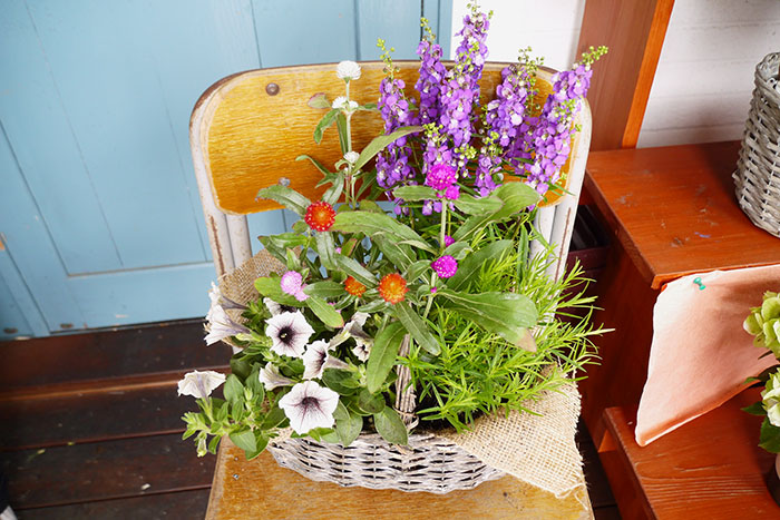 寄せ植え、その後どうする？編集部がお花のプロに駆け込み相談！_画像01