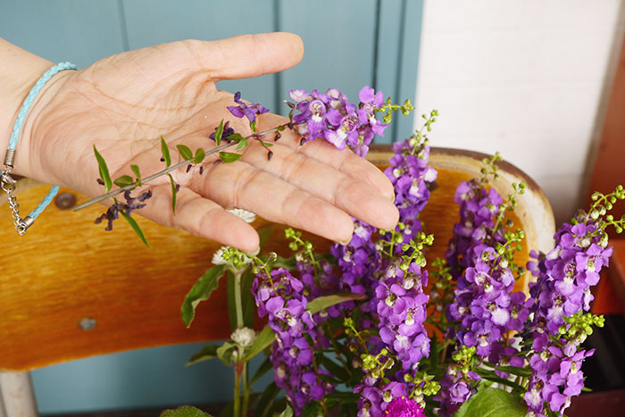 寄せ植え、その後どうする？編集部がお花のプロに駆け込み相談！_画像01