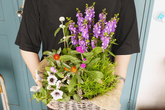 寄せ植え、その後どうする？編集部がお花のプロに駆け込み相談！_画像01