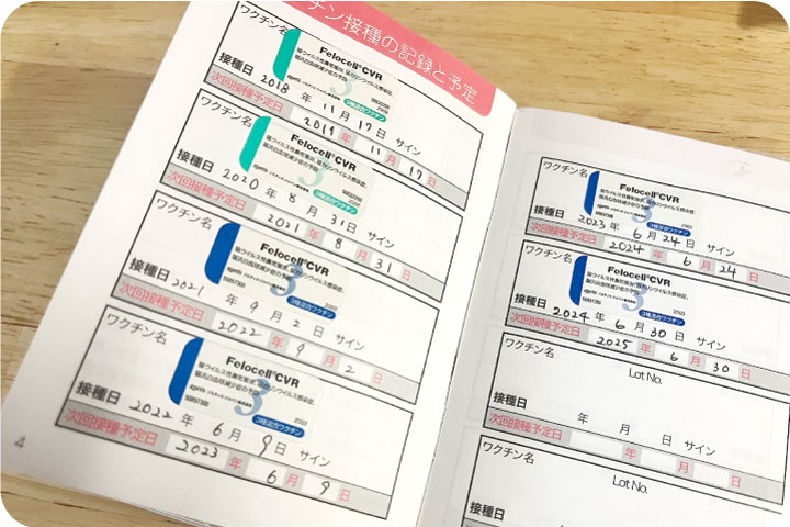 _画像