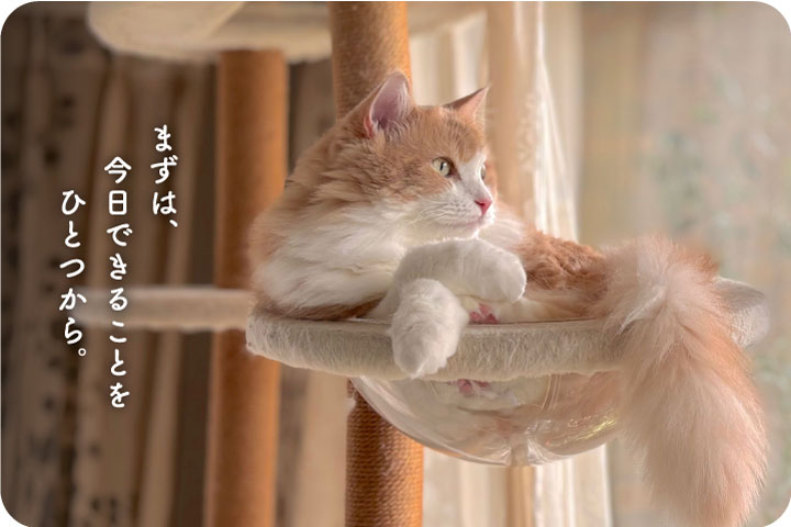 “ゆるい”備え_画像