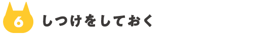 06_しつけをしておく